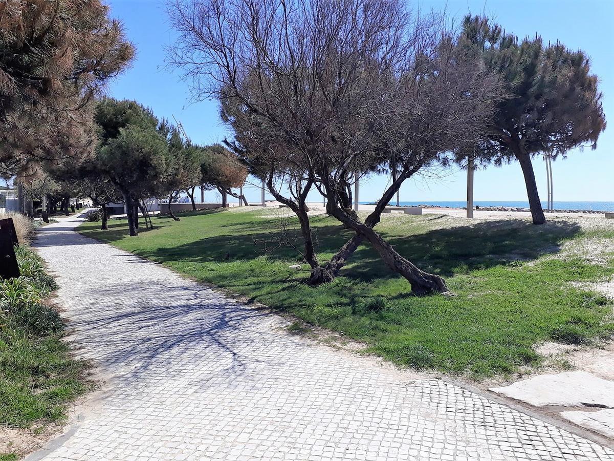 Avenida Mar- Vista Mar, Wifi, 150Mt Praia 쿼테이라 외부 사진